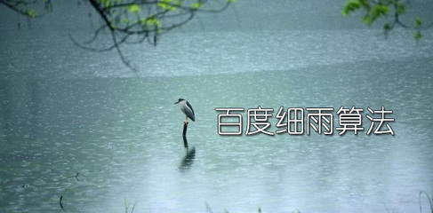百度細雨算法.jpg